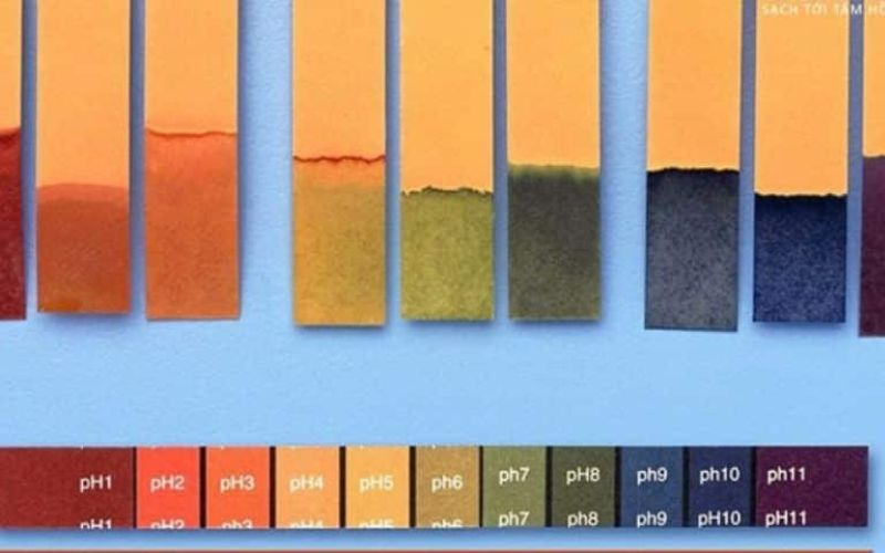 Vai trò của chất chỉ thị